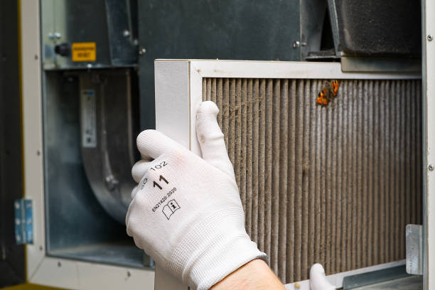 Best Affordable HVAC Duct Cleaning  in Greenback, TN