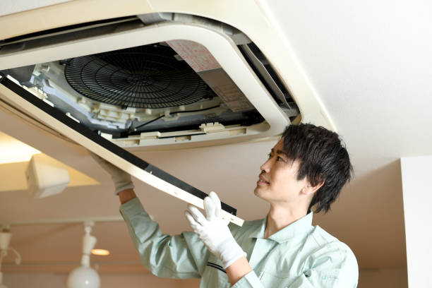Best Home Air Vent Cleaning  in Greenback, TN